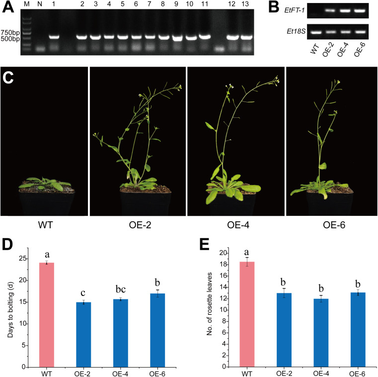 Figure 10