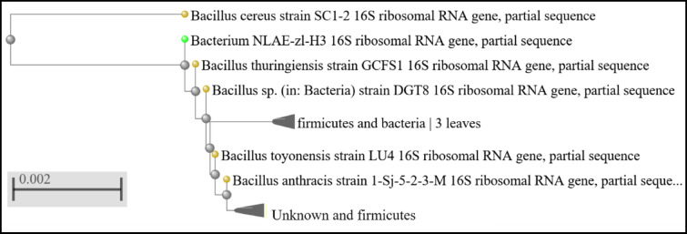 Figure 19