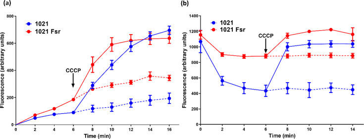 Fig. 2