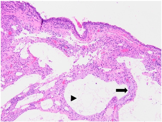 FIGURE 1