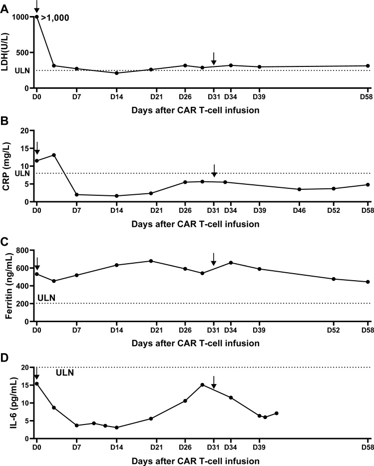 Figure 2