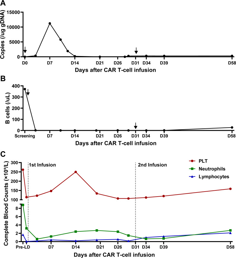 Figure 4
