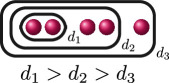 Figure 39