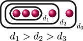 Figure 48