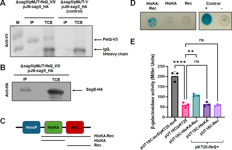 Fig 6