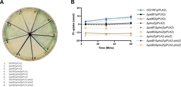 Fig 7