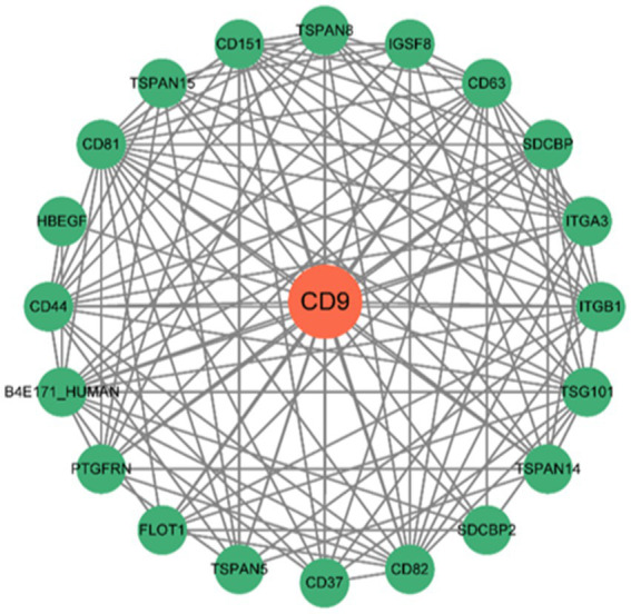 Figure 10