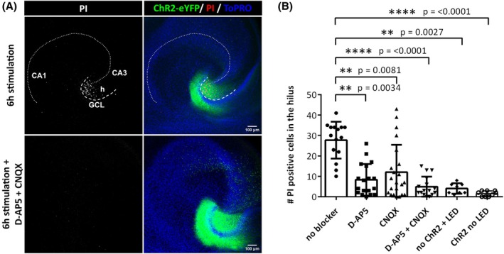 FIGURE 3