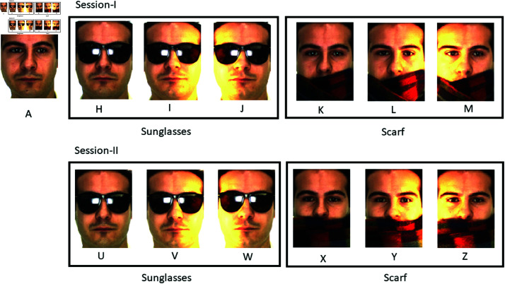 Fig 5