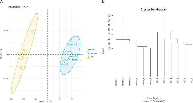 Figure 4
