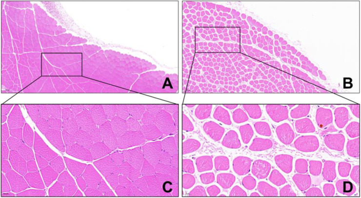 Figure 9
