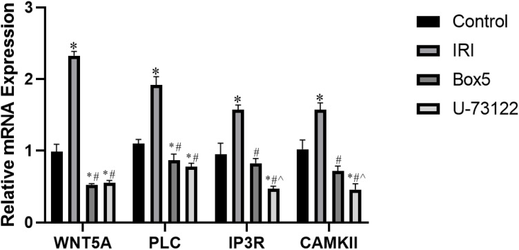 Figure 12