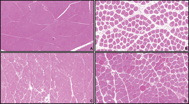 Figure 13
