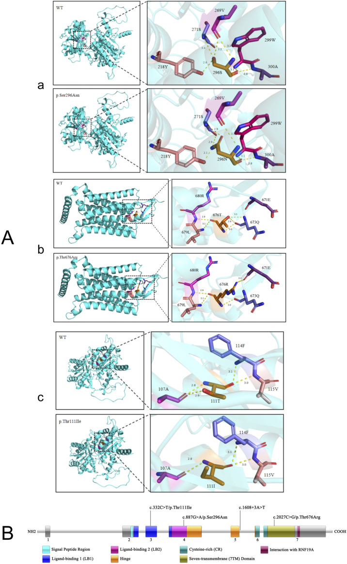 FIGURE 2