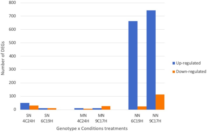 FIGURE 3
