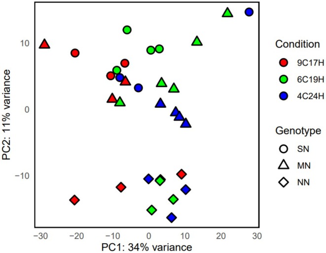 FIGURE 2