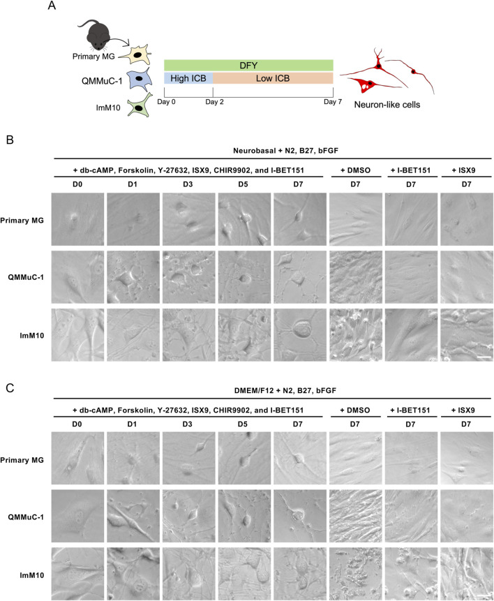 FIGURE 3