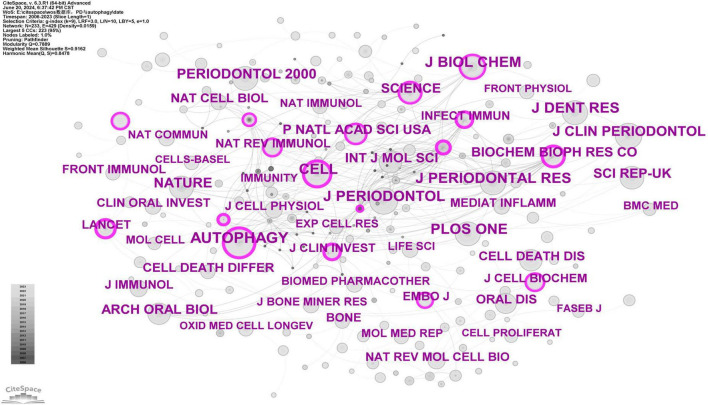FIGURE 12