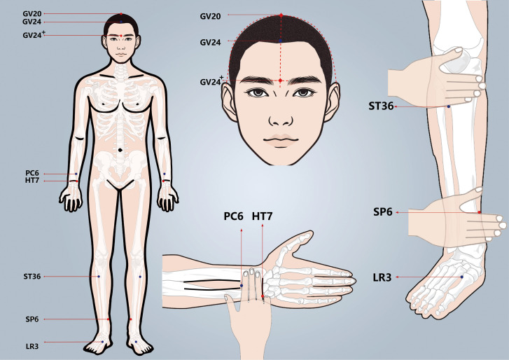 Figure 2
