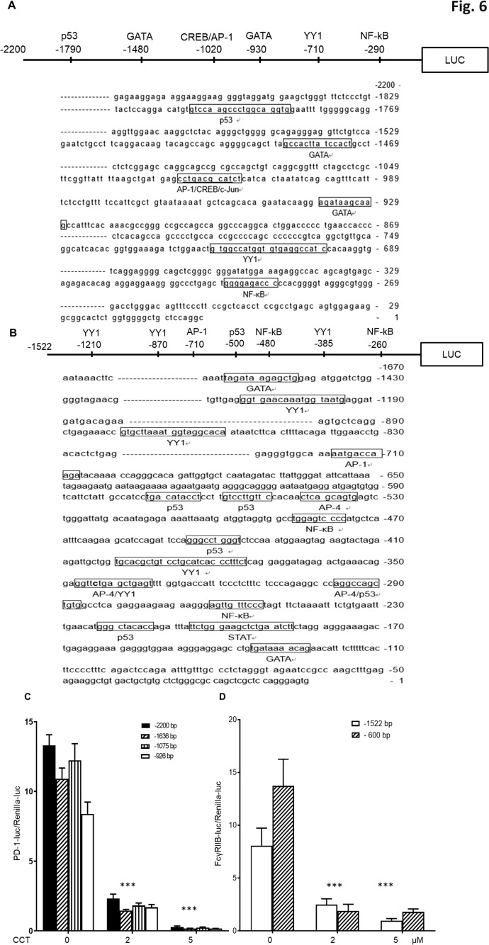 Figure 6