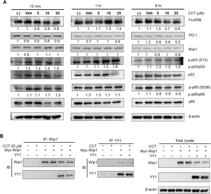 Figure 7