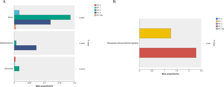 Figure 5
