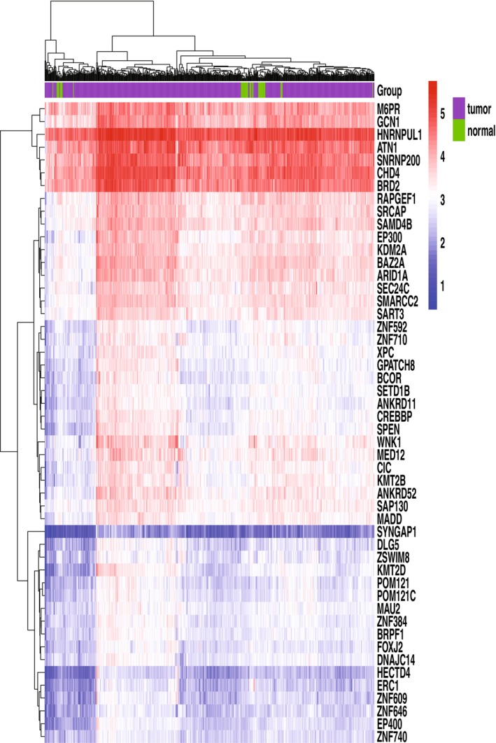 FIGURE 2