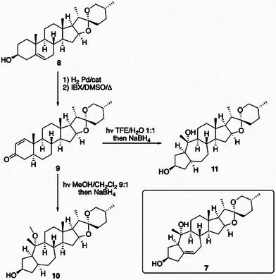 Scheme 3