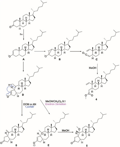 Scheme 2