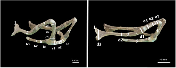 FIGURE 2