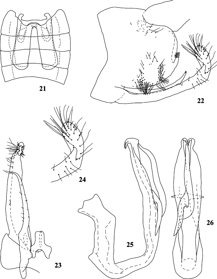 Figures 21–26