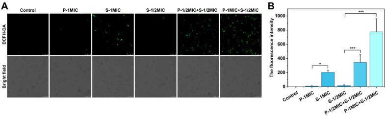 Figure 6