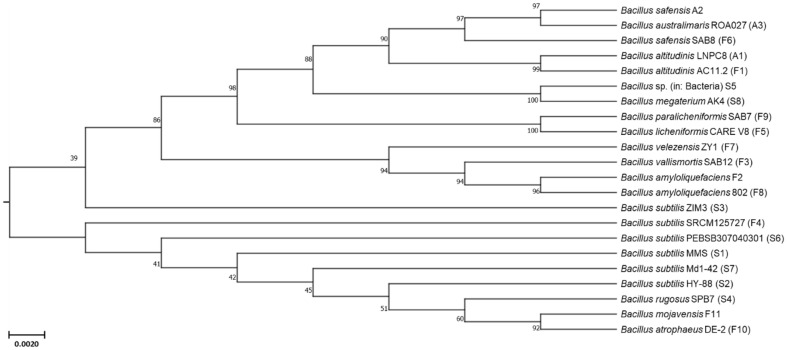 Figure 1