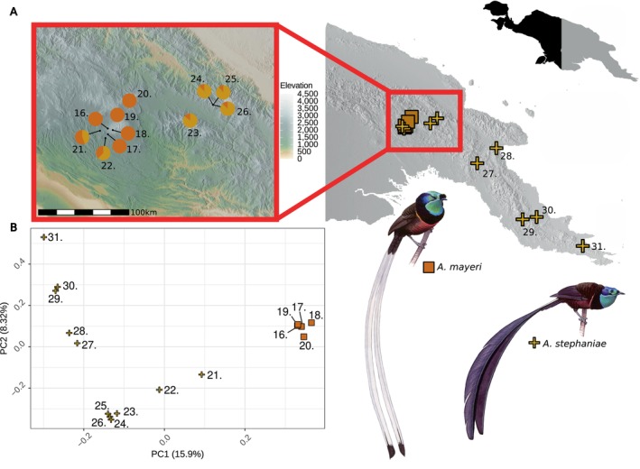 FIGURE 3
