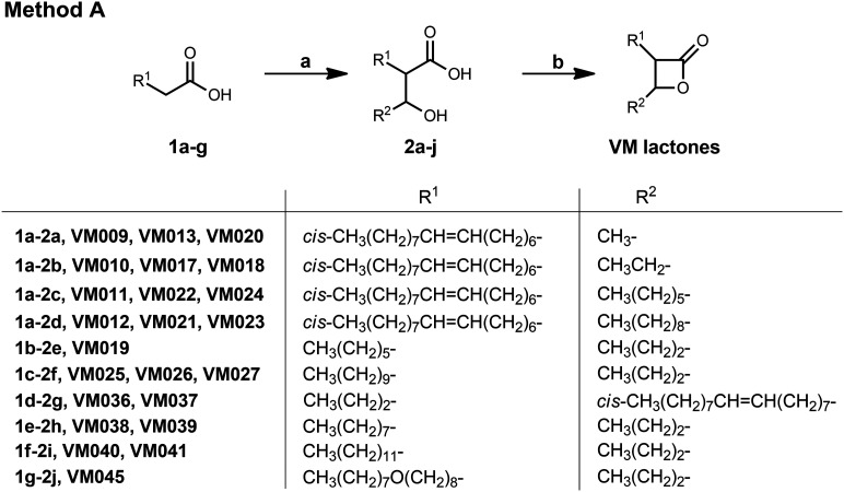 Scheme 1