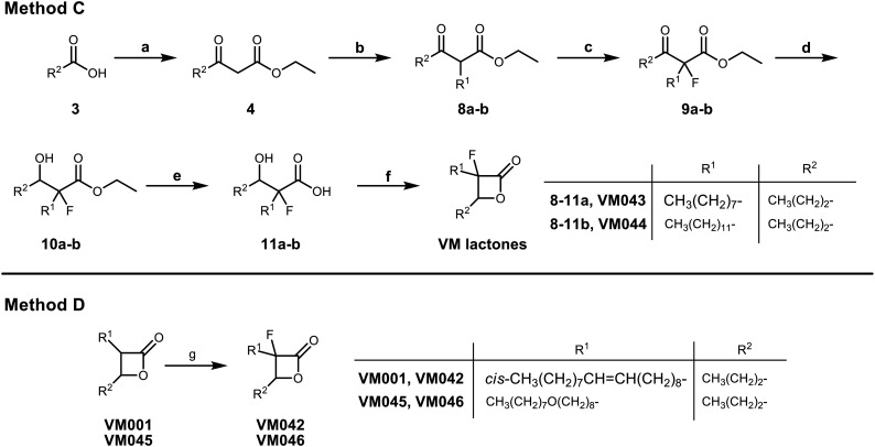 Scheme 3