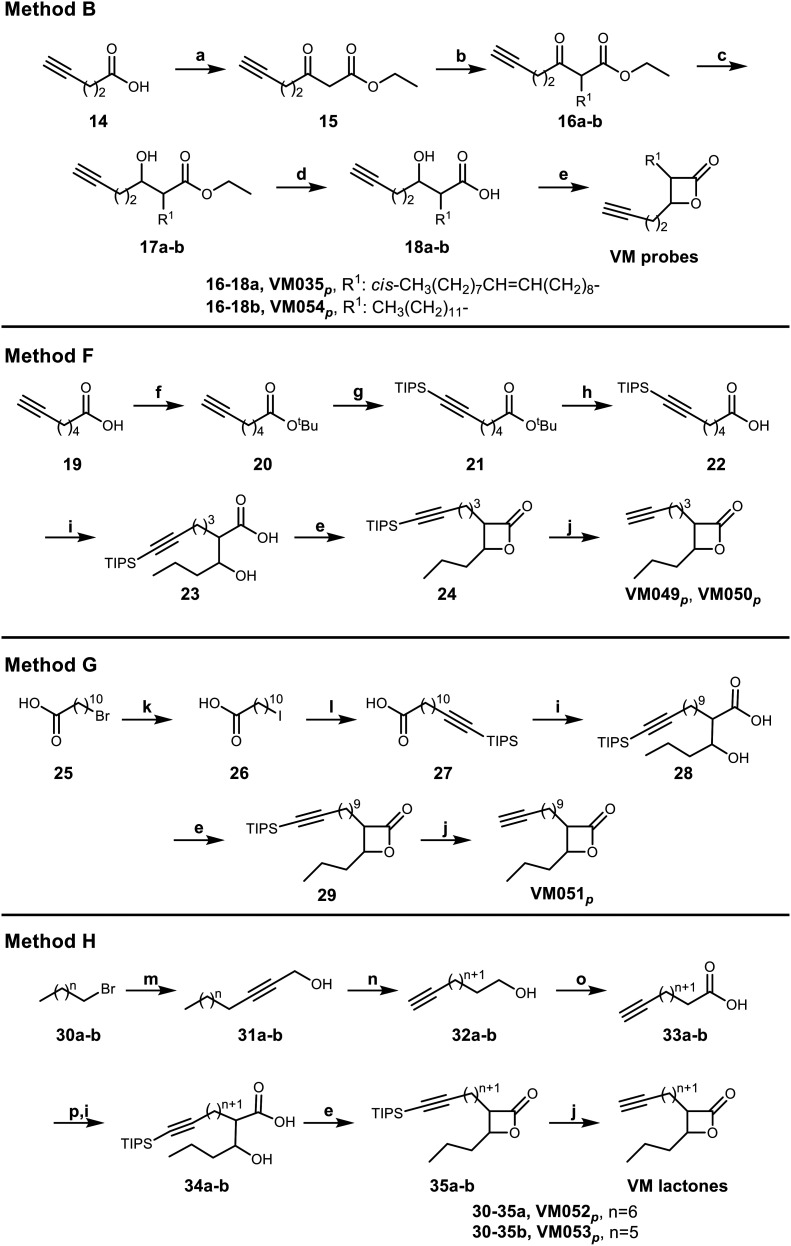 Scheme 5