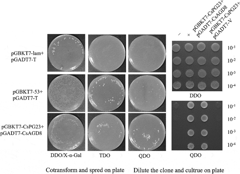 Figure 13