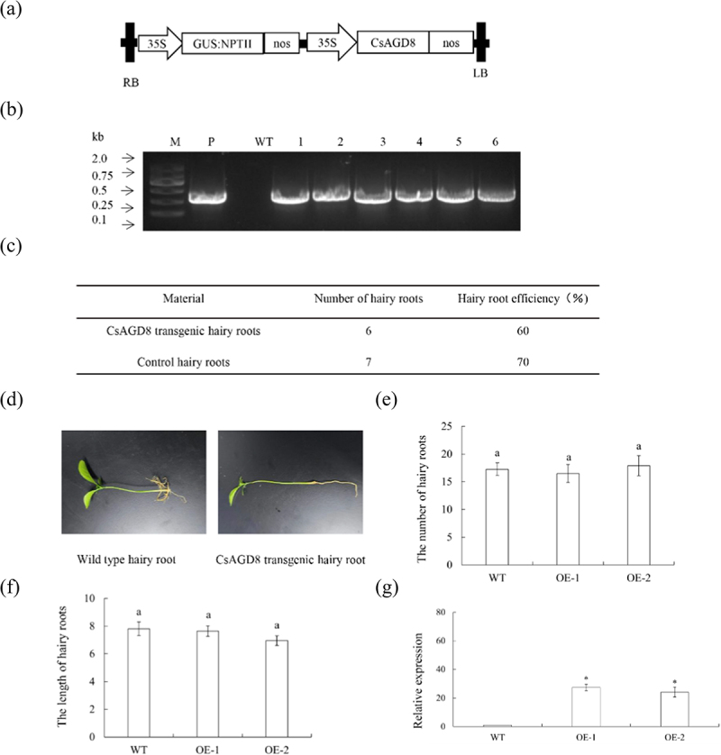Figure 14