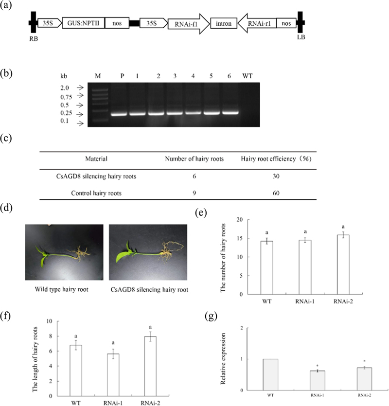 Figure 16