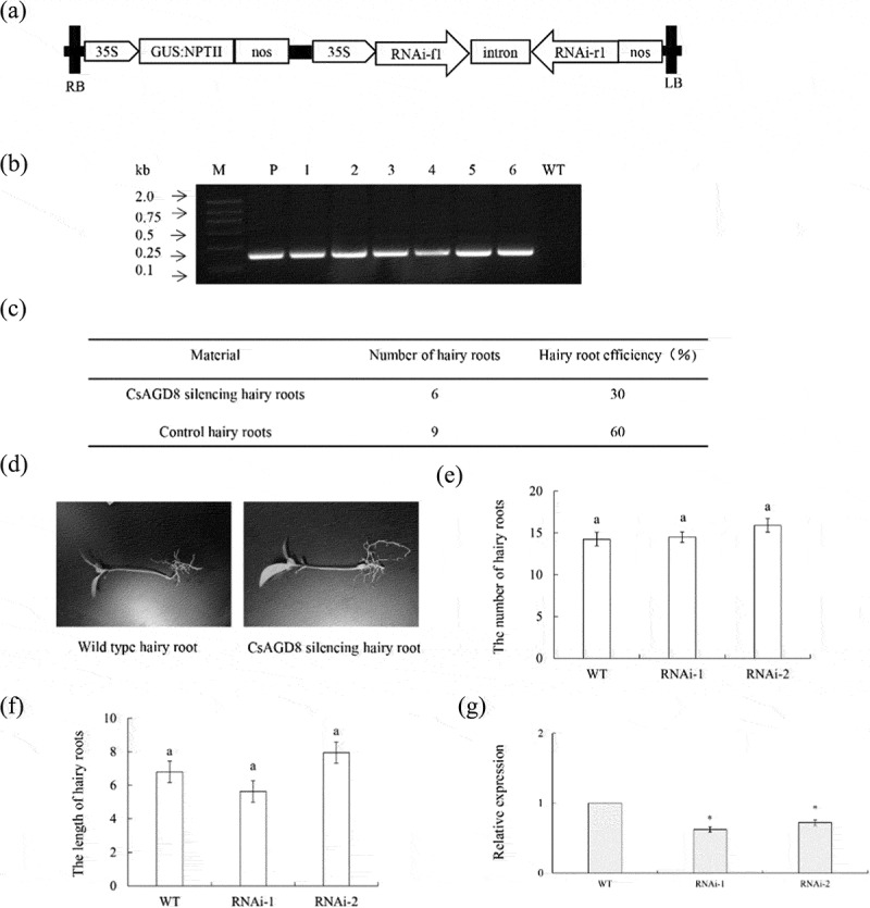 Figure 17