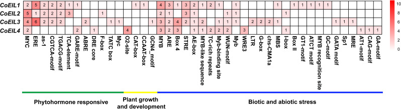 Fig 5