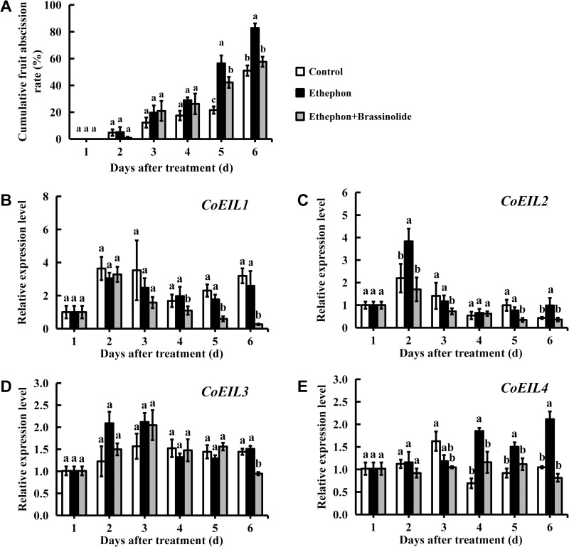 Fig 6