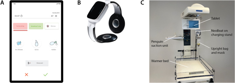 Fig 1