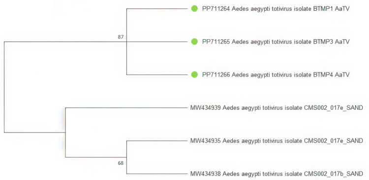 Fig 4