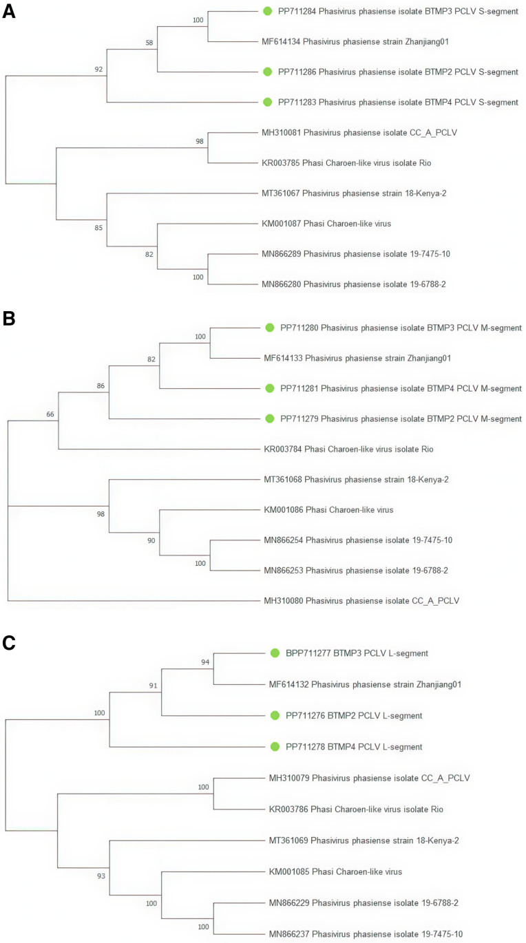 Fig 8