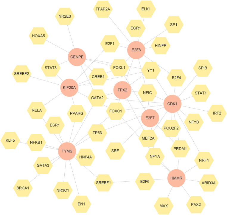 Fig 11