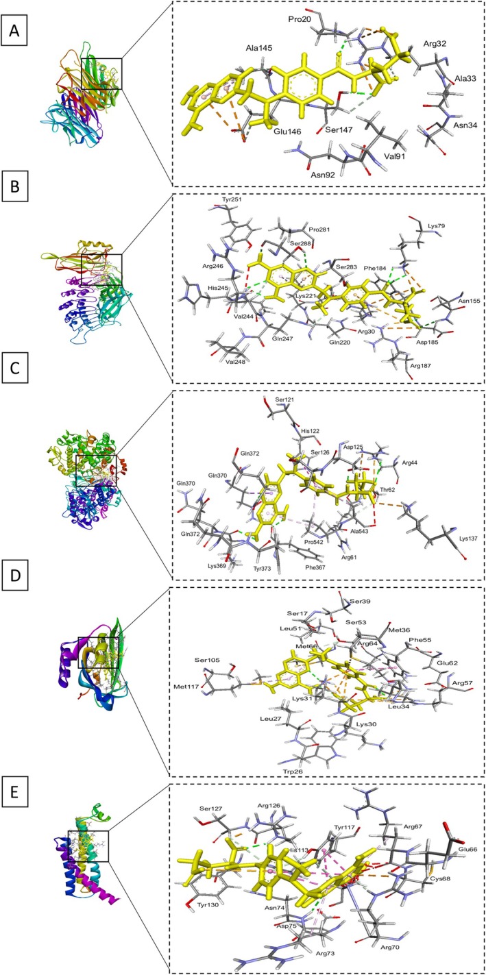 FIGURE 5