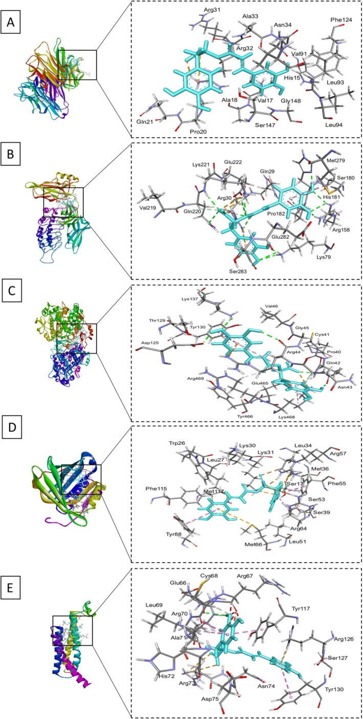 FIGURE 4