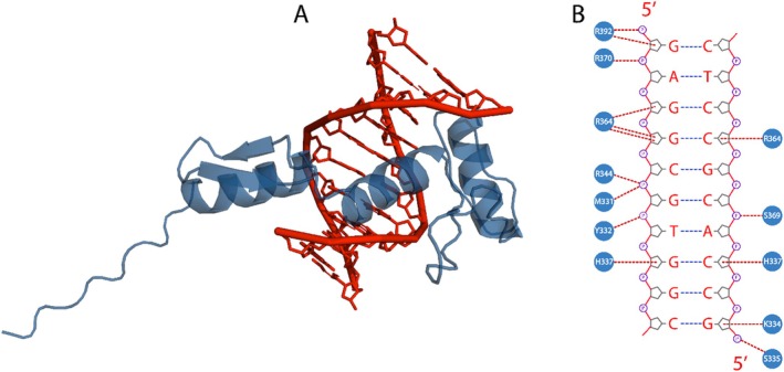 FIGURE 4